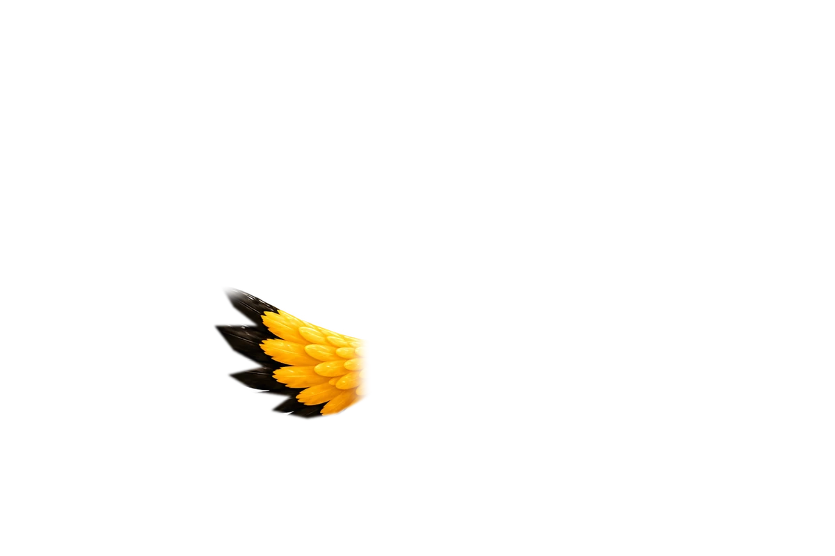 wing left خانه